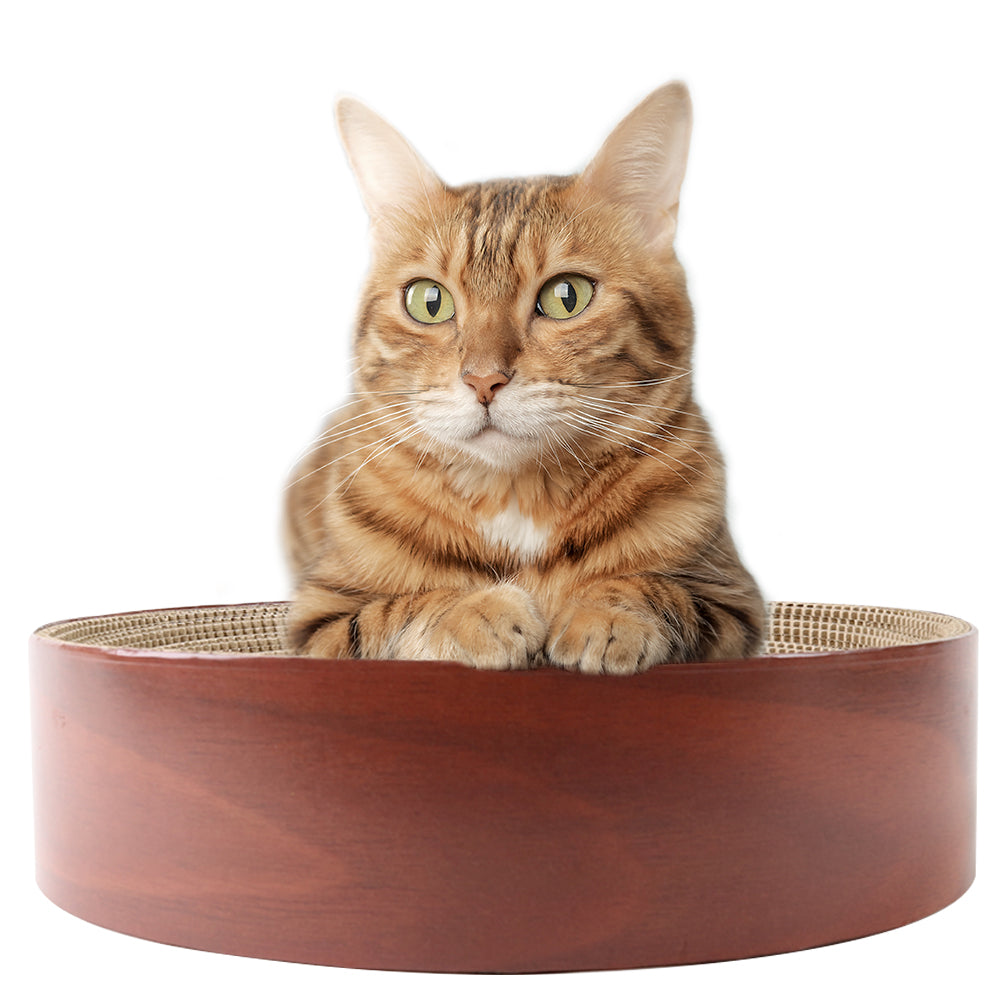 Selly’s Den Bowl Shaped Cat Scratcher
