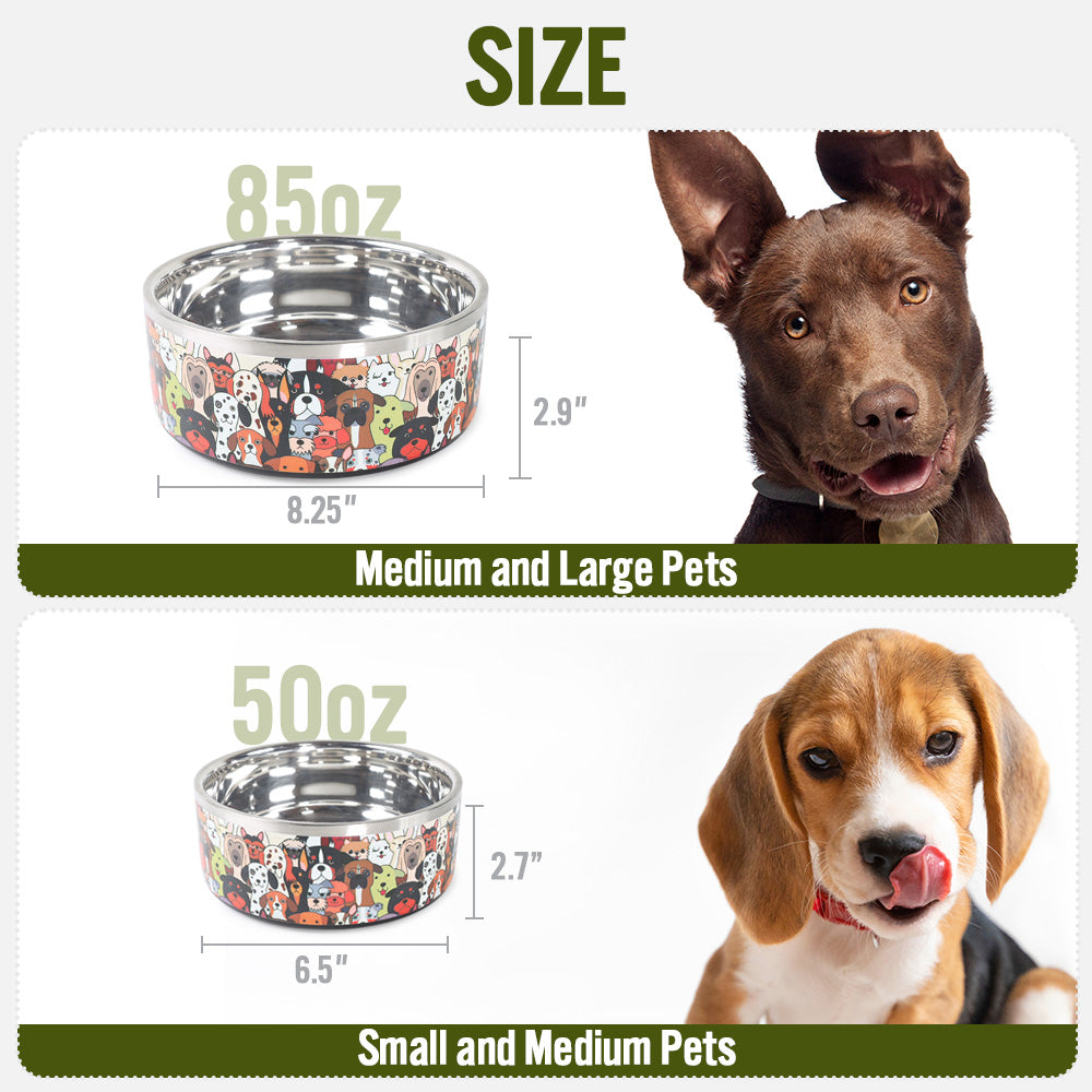 Pawdience Stainless Steel Bowl, 85 Oz