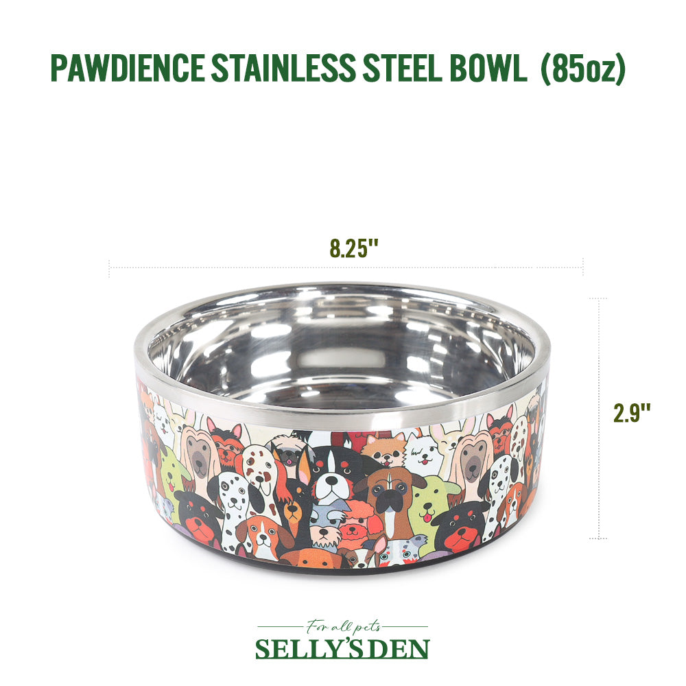 Pawdience Stainless Steel Bowl, 85 Oz
