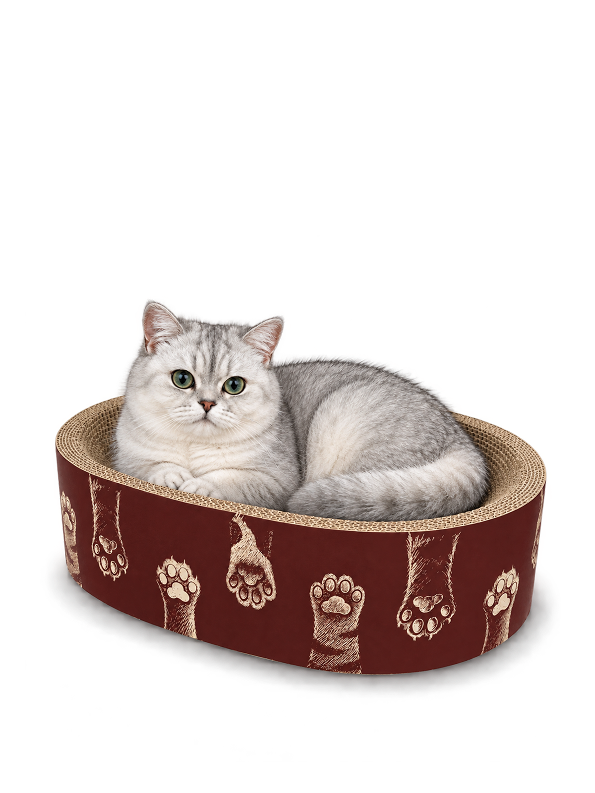 Sellys Den oval cat scratcher bed with silver tabby cat, burgundy paw print